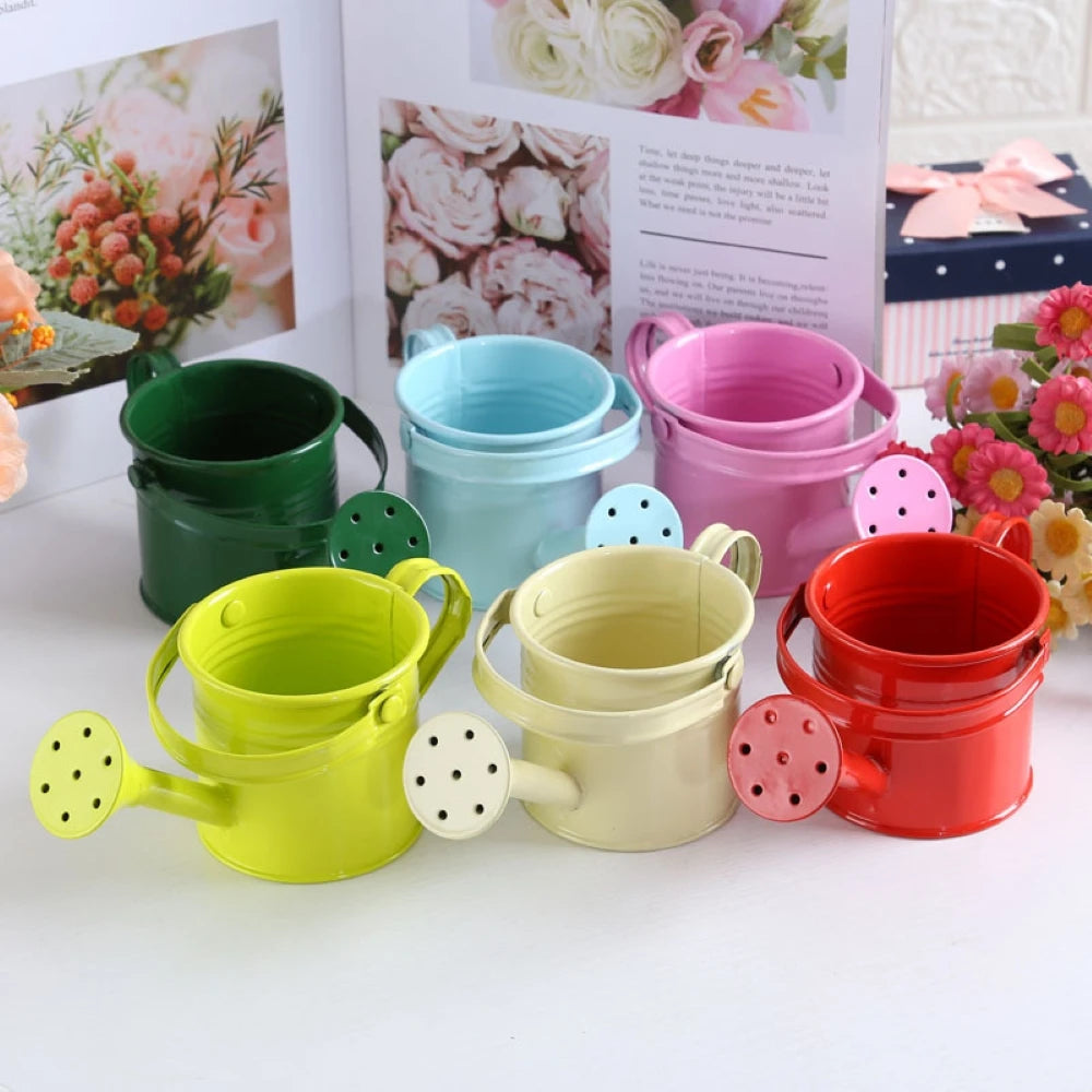 Metal Watering Can with Large Capacity for Easy Plant Care - Smarsty