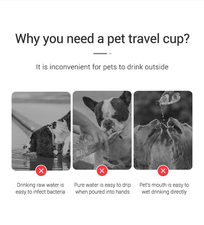 Portable Dog Water Bottle Leakproof for Outdoor Use - Smarsty