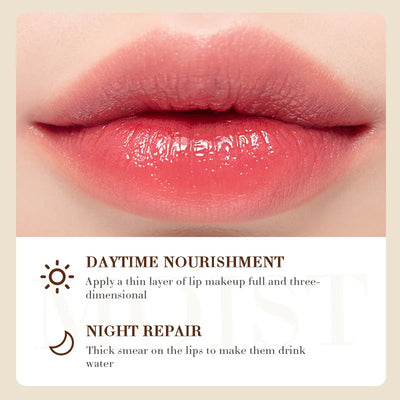 Coconut Lip Balm Lasting Nourishment and Moisture for Men and Women Daily Care Lip Balm