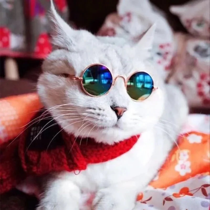 Cute Cat Glasses Multi-Color Pet Sunglasses Accessories - Smarsty