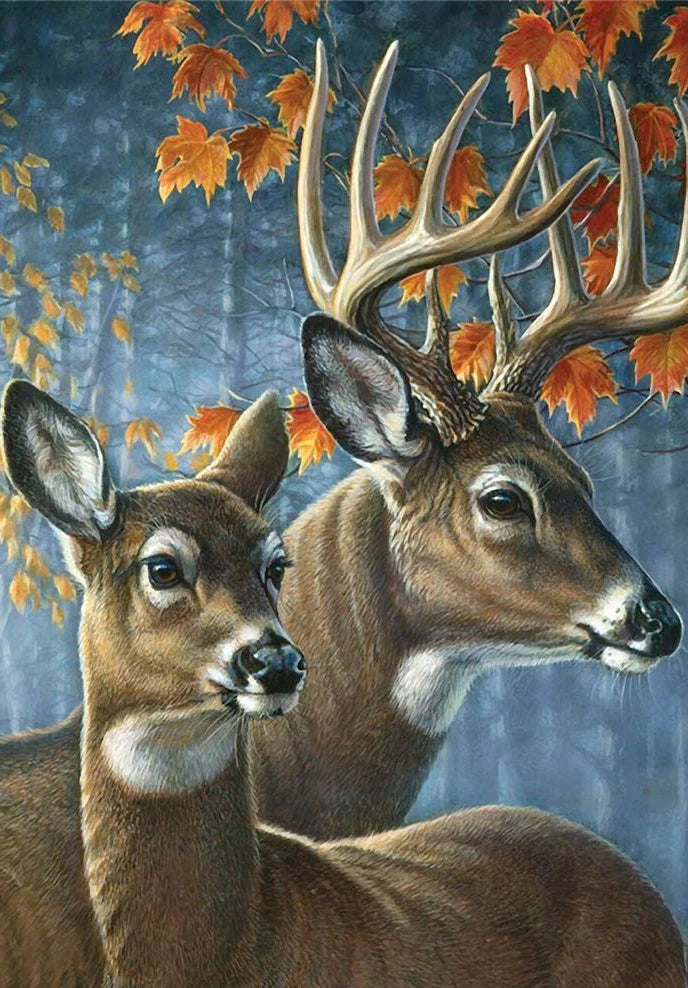 DIY Diamond Painting Kit for Home Decor and Gifts - Smarsty