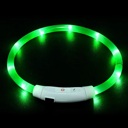 USB Rechargeable LED Dog Collar for Night Safety - Smarsty