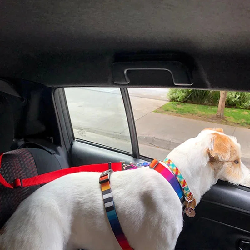 Adjustable Two-in-One Pet Car Seat Belt Harness - Smarsty