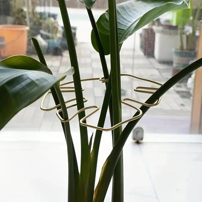 1Pc Large hanging plant stand, iron hooks, suitable for flowerpot decoration, indoor and outdoor use - Smarsty