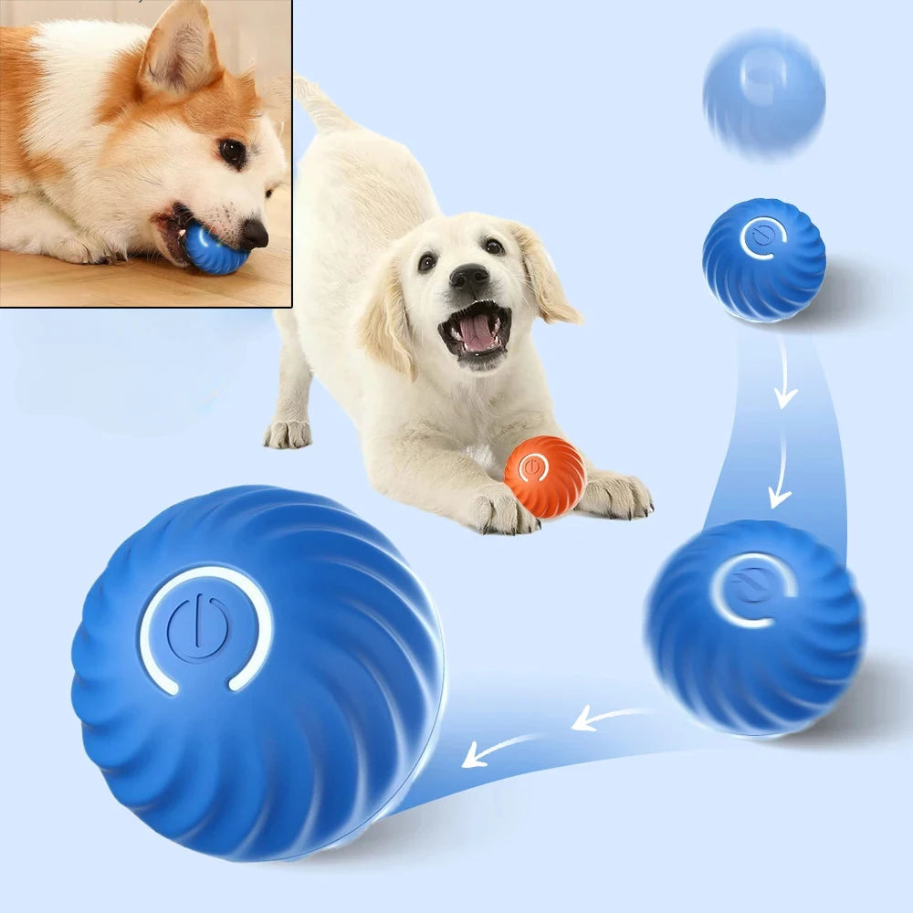 Automatic Moving Dog Toy Ball for Interactive Play - Smarsty