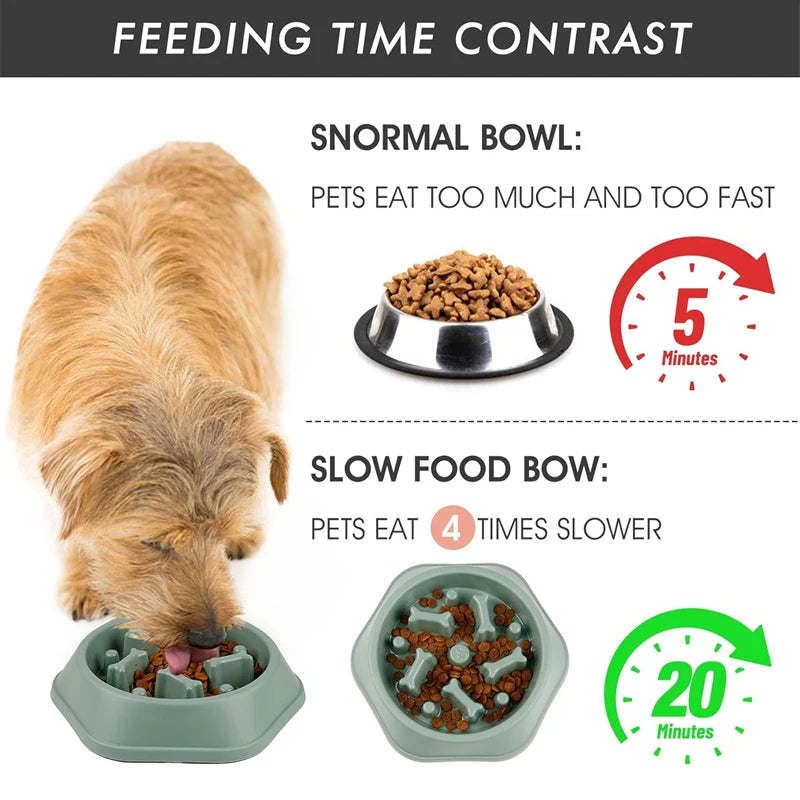 Slow Feeder Dog Bowl for Healthy Eating - Smarsty
