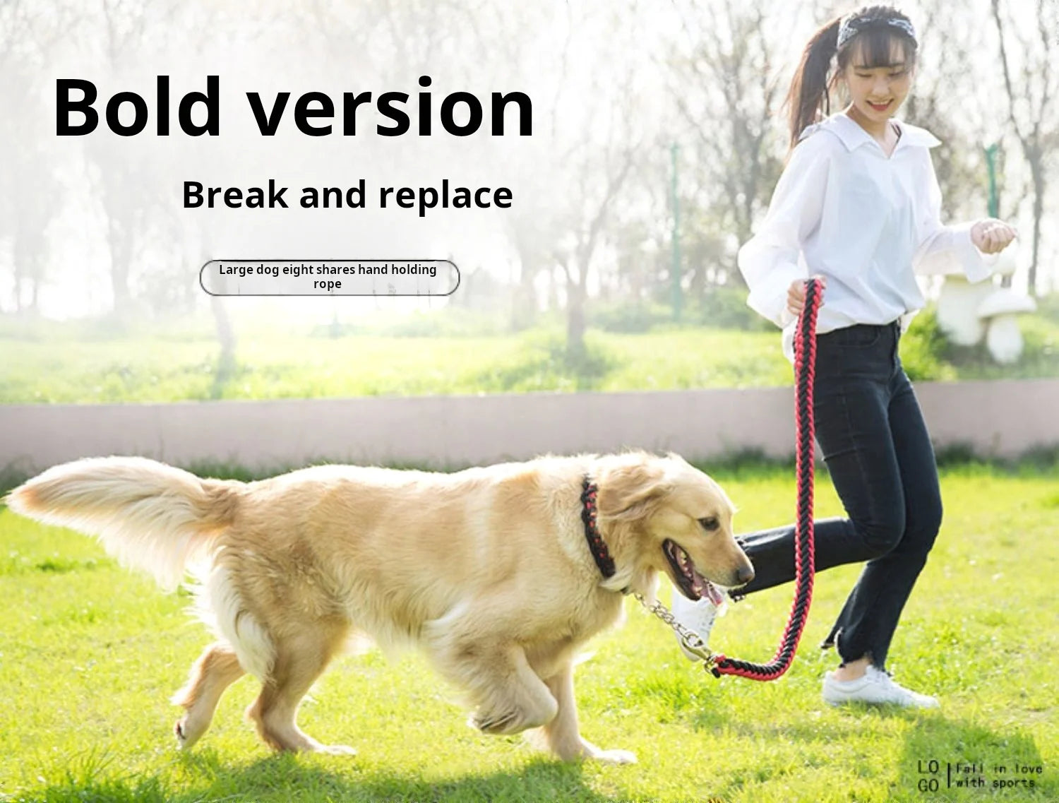 Comfort-Strong 5-Foot Braided Dog Leash for Training - Smarsty