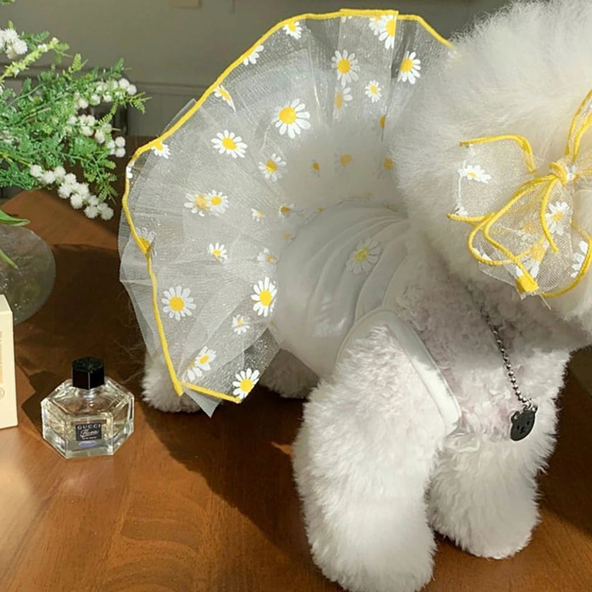 Thin Puppy Princess Skirt for Small Dogs - Smarsty