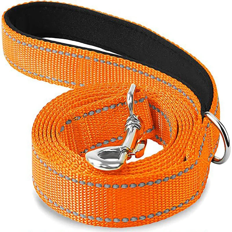 Reflective Dog Harness Leash for Safe Night Walks - Smarsty