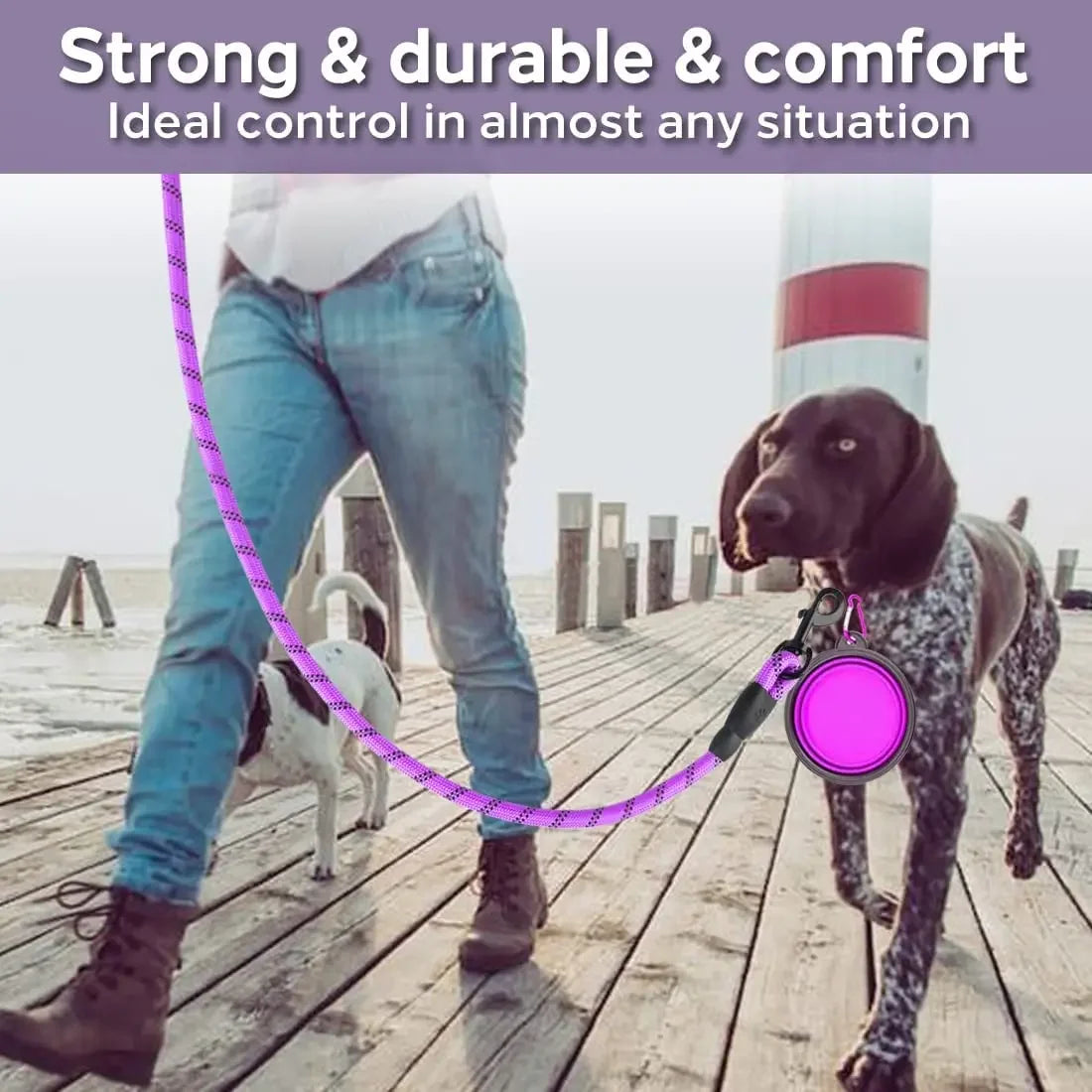 Reflective Dog Leash for All Sizes with Breakaway Feature - Smarsty