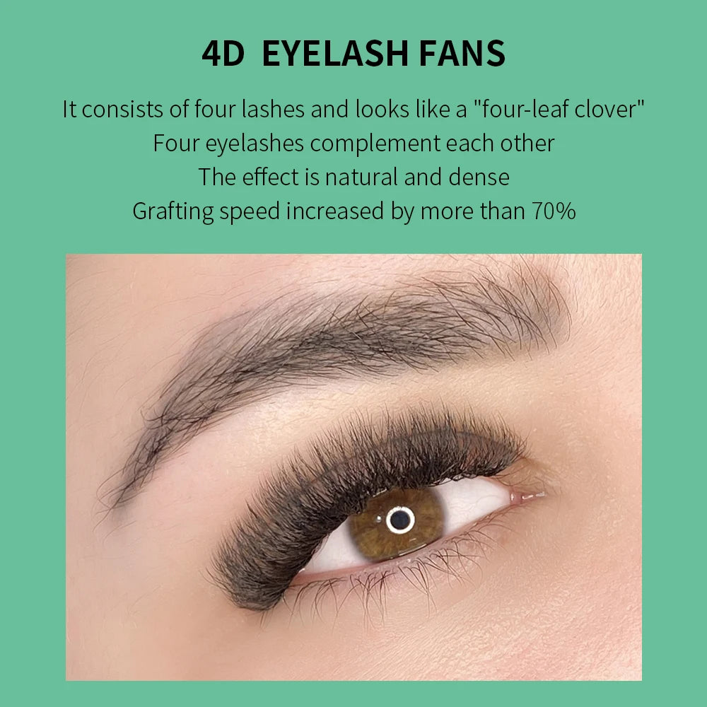 Glamlash 4D W Shape Eyelash Extensions for Dramatic Volume - Smarsty