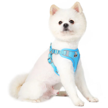 Reflective Dog Harness Leash Set for Outdoor Safety - Smarsty