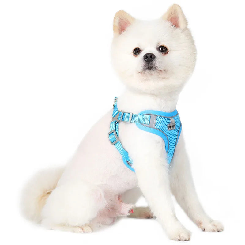 Reflective Dog Harness Leash Set for Outdoor Safety - Smarsty