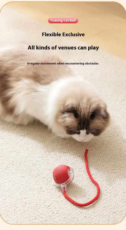 Rechargeable Interactive Cat Toy Smart Rolling Ball - Smarsty