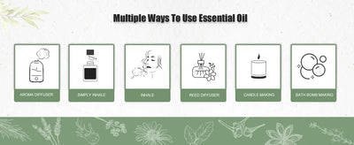 PHATOIL 100ml Essential Oil Set for Aromatherapy Diffusers - Smarsty