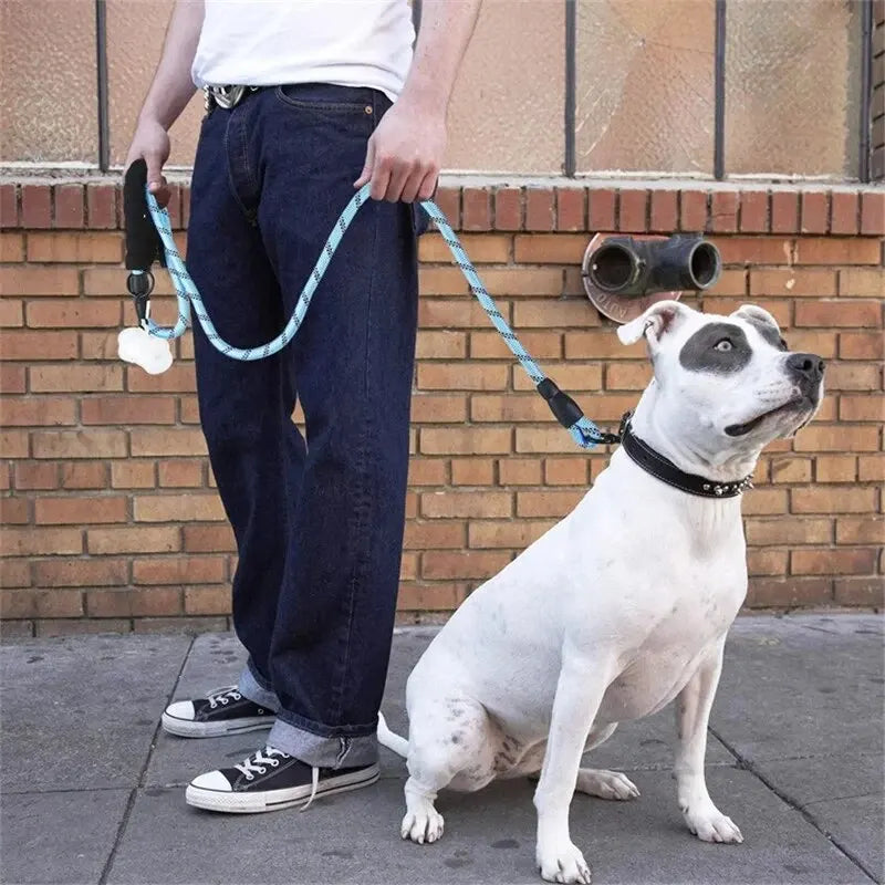 Reflective Dog Leash With Padded Handle For Safety - Smarsty