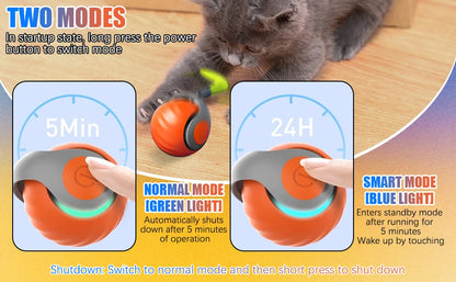 Interactive Electric Rolling Cat Ball Toy Rechargeable Fun - Smarsty