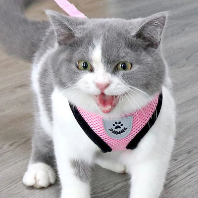 Adjustable Breathable Dog Cat Harness with Reflective Safety - Smarsty