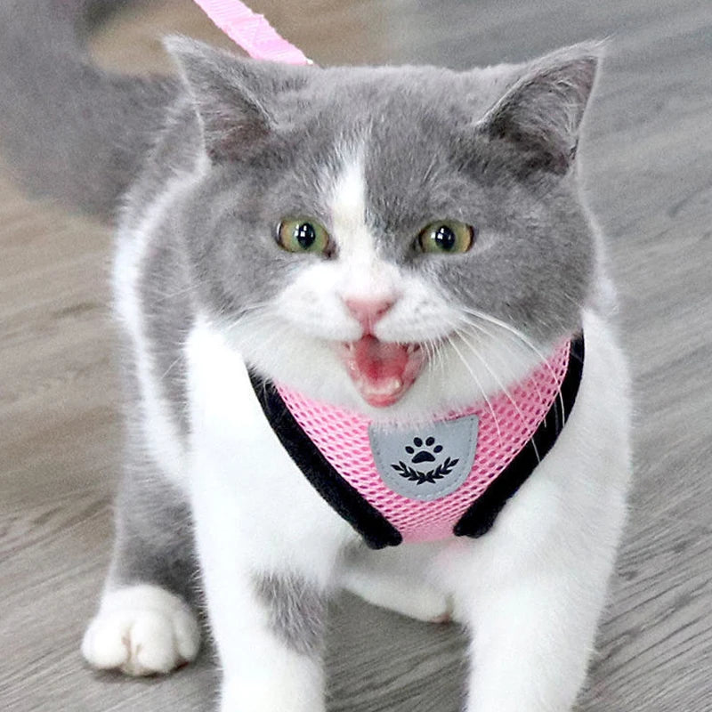 Adjustable Breathable Dog Cat Harness with Reflective Safety - Smarsty