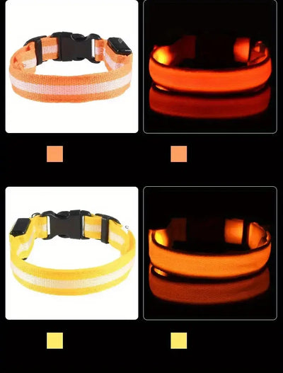 Nylon LED Dog Leash for Night Safety - Smarsty