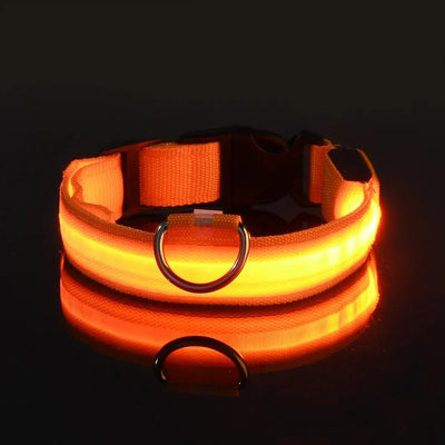 Nylon LED Dog Leash for Night Safety - Smarsty