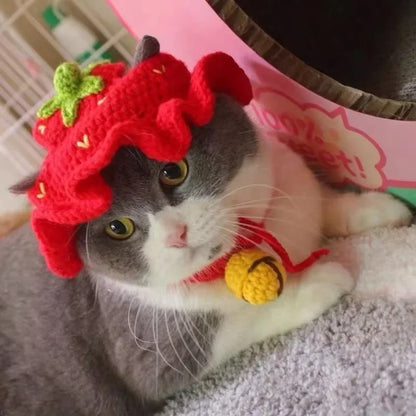 Cute Frog Cat Hat with Bunny Ears for Fun Costumes - Smarsty