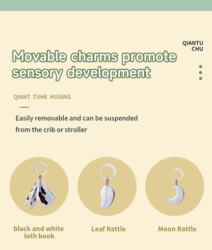 Baby Play Gym Mat With Rack For Tummy Time Crawling - Smarsty