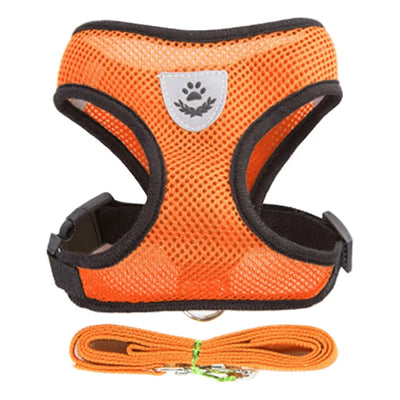 Adjustable Dog Harness and Leash Set for Small Dogs - Smarsty
