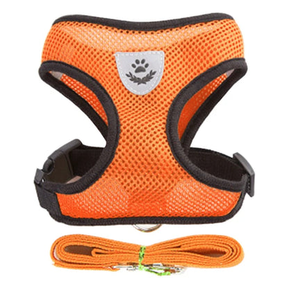 Adjustable Dog Harness and Leash Set for Small Dogs - Smarsty