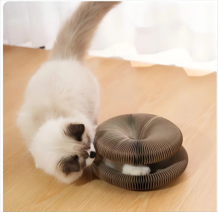 Kitten Curl Toy Foldable Magic Organ Cat Scratching Board Durable Recyclable Cardboard Cat Scratcher Cat Bed Interactive Scratch