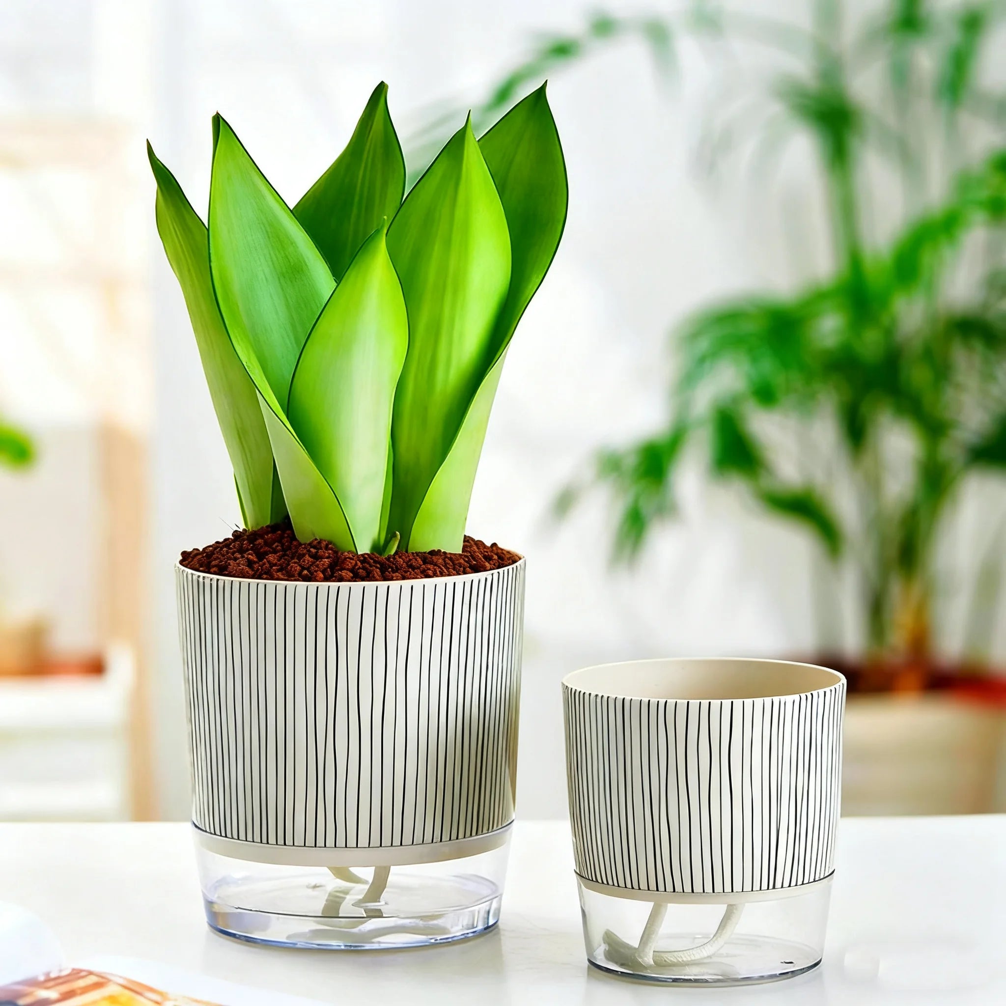 Self-watering Flower Pot Lazy Automatic Hydroponics Plants Pot Cotton Rope Watering Succulent Potted Planters Home Office Decor
