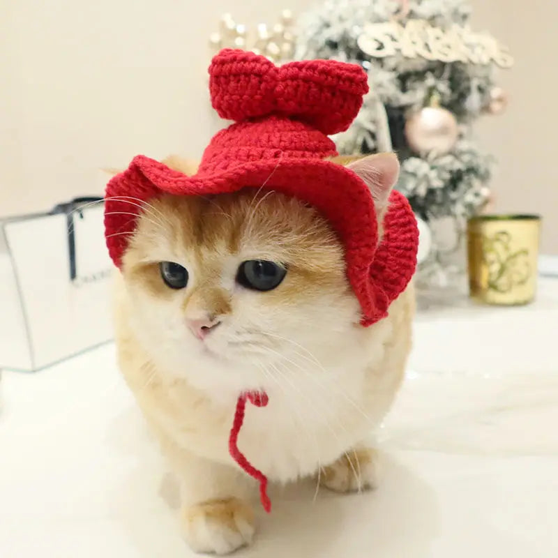Cute Knitted Cat Hat for Warmth and Fun - Smarsty