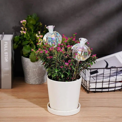 Automatic Cactus Self Watering Planter Cactus Glass Automatic Plant Watering Bulbs Cute Plant Water Feeder Glass Bulbs Indoor