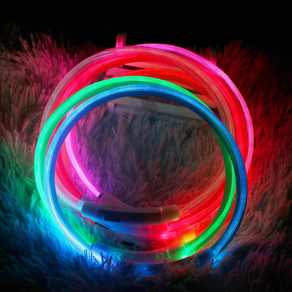 LED USB Dog Collar for Night Safety and Visibility - Smarsty