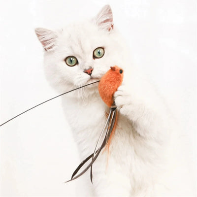 Upgraded Feather Cat Teasing Stick for Interactive Play - Smarsty