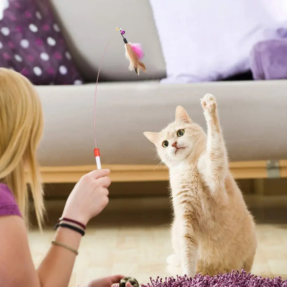 Kitten Toys Variety Pack for Fun and Play - Smarsty