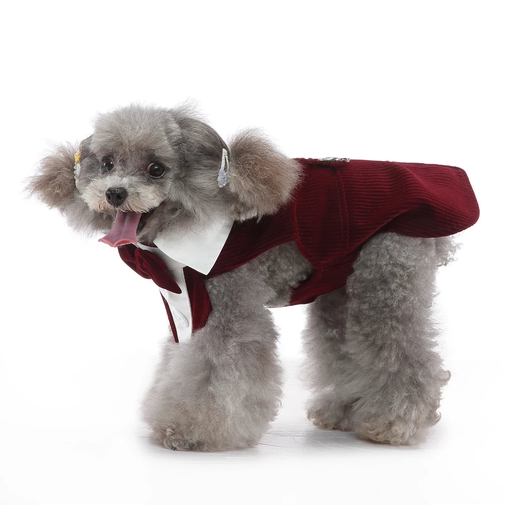 Formal Tuxedo Dog Costume for Weddings and Events - Smarsty