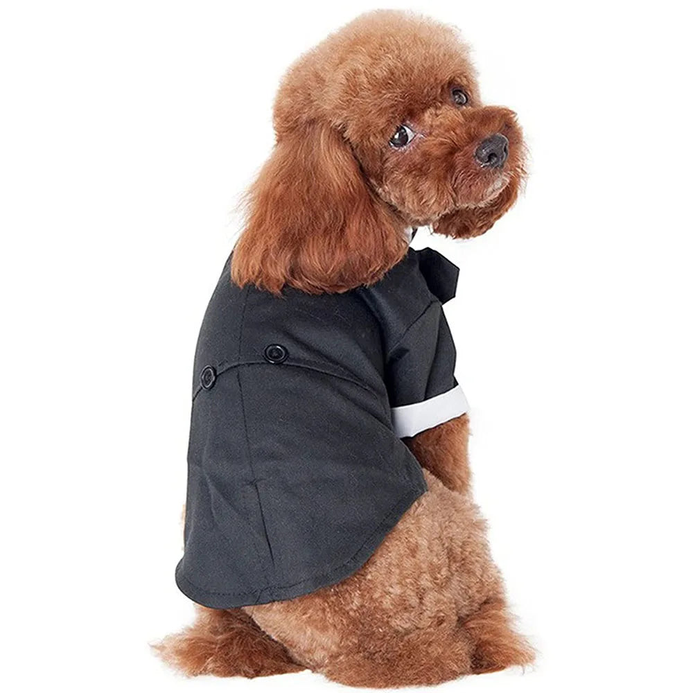 Elegant Dog Tuxedo Suit for Weddings and Parties - Smarsty
