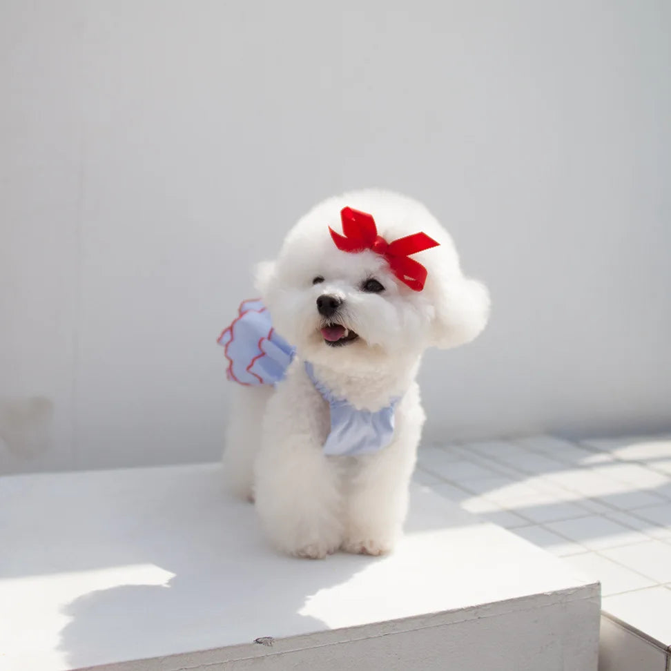 Cute Dog Summer Dress for Small Pets - Smarsty
