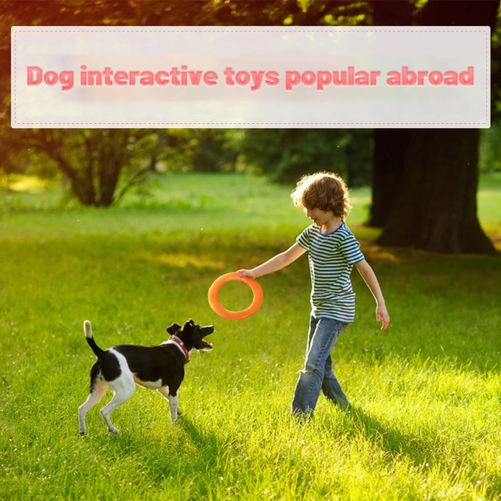 Interactive Dog Flying Disk Toy for Training - Smarsty
