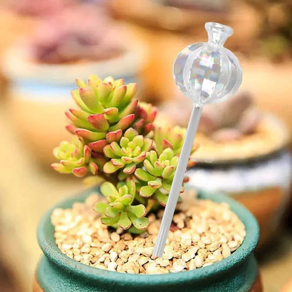 Automatic Cactus Self Watering Planter Cactus Glass Automatic Plant Watering Bulbs Cute Plant Water Feeder Glass Bulbs Indoor