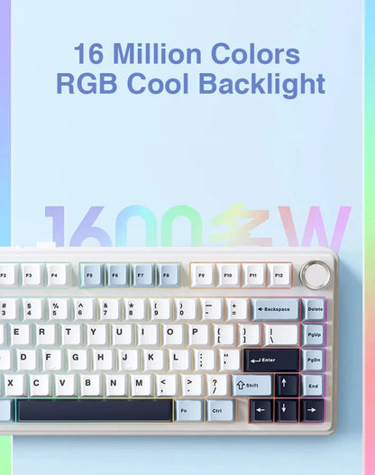 Wireless Mechanical Keyboard 75 Layout RGB Gasket Structure