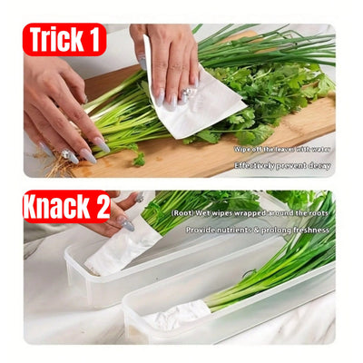 1/2/4Pcs Refrigerator Storage Boxes With Lid Plastic Fresh Keeping Box Kitchen Scallions Cilantro Eggs Noodles Sealed Container by Smarsty