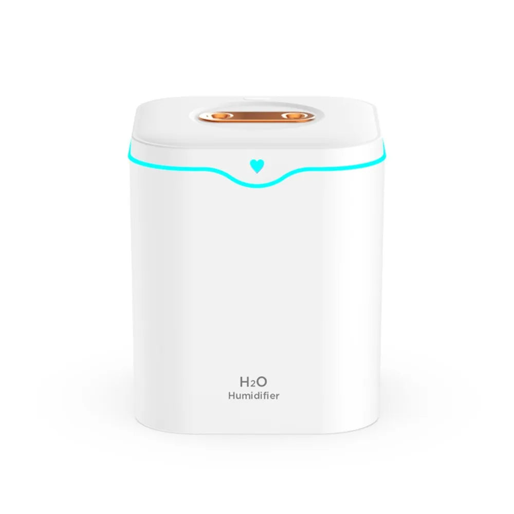 Double Spray USB Air Humidifier With Large Capacity - Smarsty
