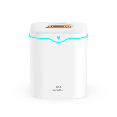 Double Spray USB Air Humidifier With Large Capacity - Smarsty