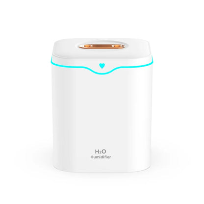 Double Spray USB Air Humidifier With Large Capacity - Smarsty