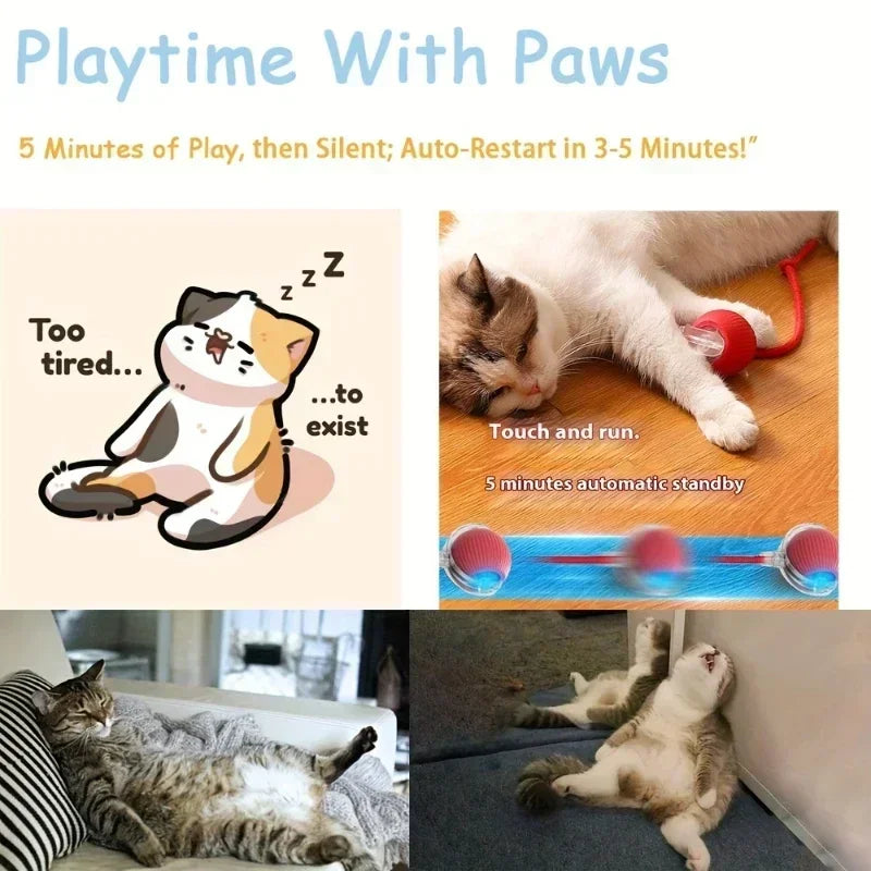 Automatic Rolling Cat Ball Toy with Rechargeable Faux Tail - Smarsty