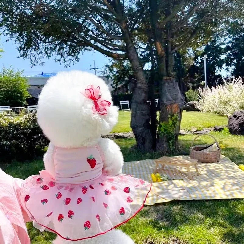 Luxury Strawberry Dog Dress for Spring and Summer - Smarsty