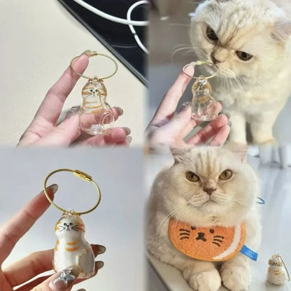 Transparent Cat Hair Storage Box for Pet Lovers - Smarsty