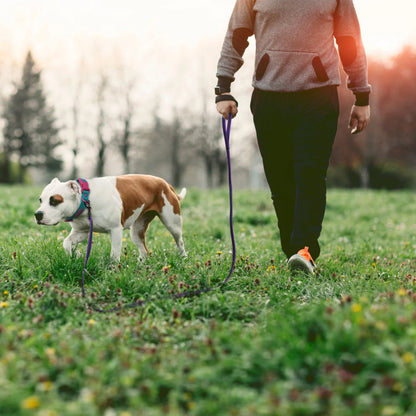 Durable Dual Color Dog Leash for Easy Training - Smarsty